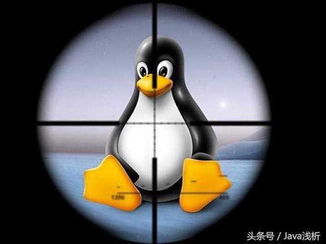 Linux文件管理