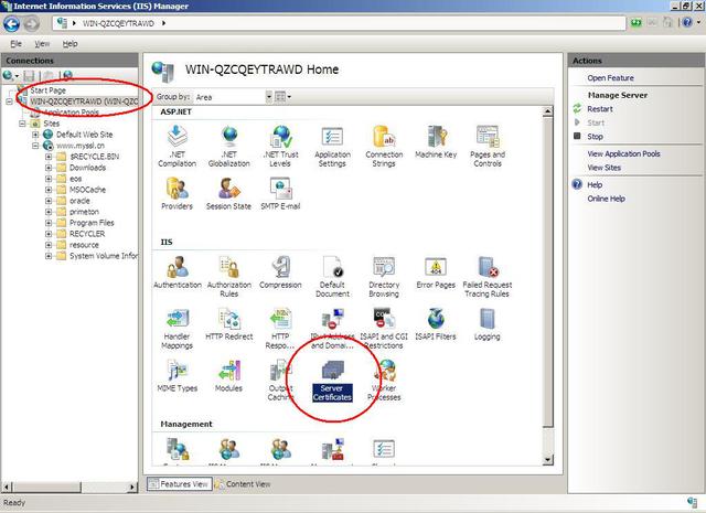 「干货」Windows IIS服务器SSL数字证书安装指南